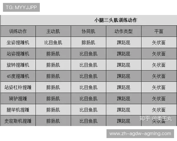 哪种健身器材更适合减肥及训练计划制定 哪种健身器材更适合减肥及训练计划制定