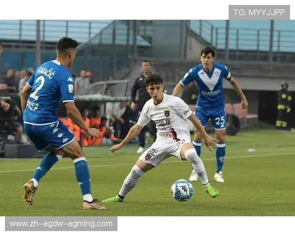 意甲联赛中的降级球队名单及相关规则说明