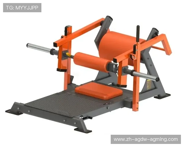 臀部锻炼健身器材推荐与使用技巧 臀部锻炼健身器材推荐与使用技巧