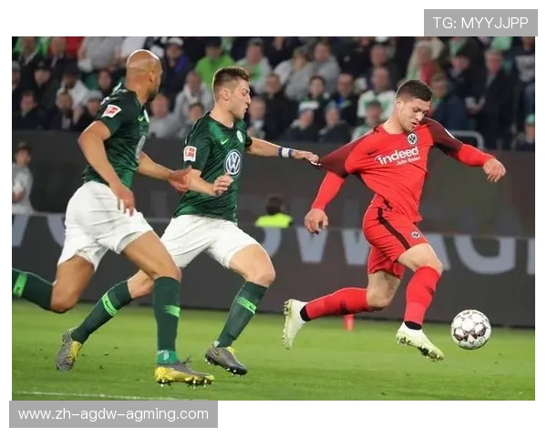 那些来自德国小镇的德甲球队故事 那些来自德国小镇的德甲球队故事