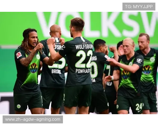 足球队德甲图片集锦及球队视觉形象展示 足球队德甲图片集锦及球队视觉形象展示