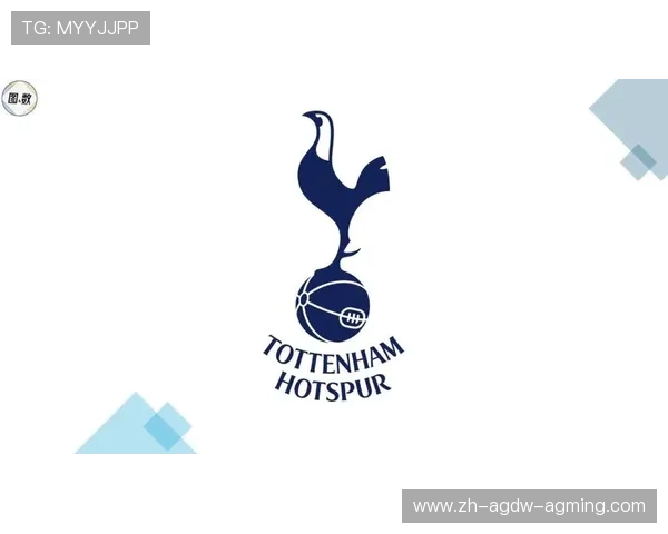 伦敦地区拥有的英超足球俱乐部及其竞争态势 伦敦地区拥有的英超足球俱乐部及其竞争态势